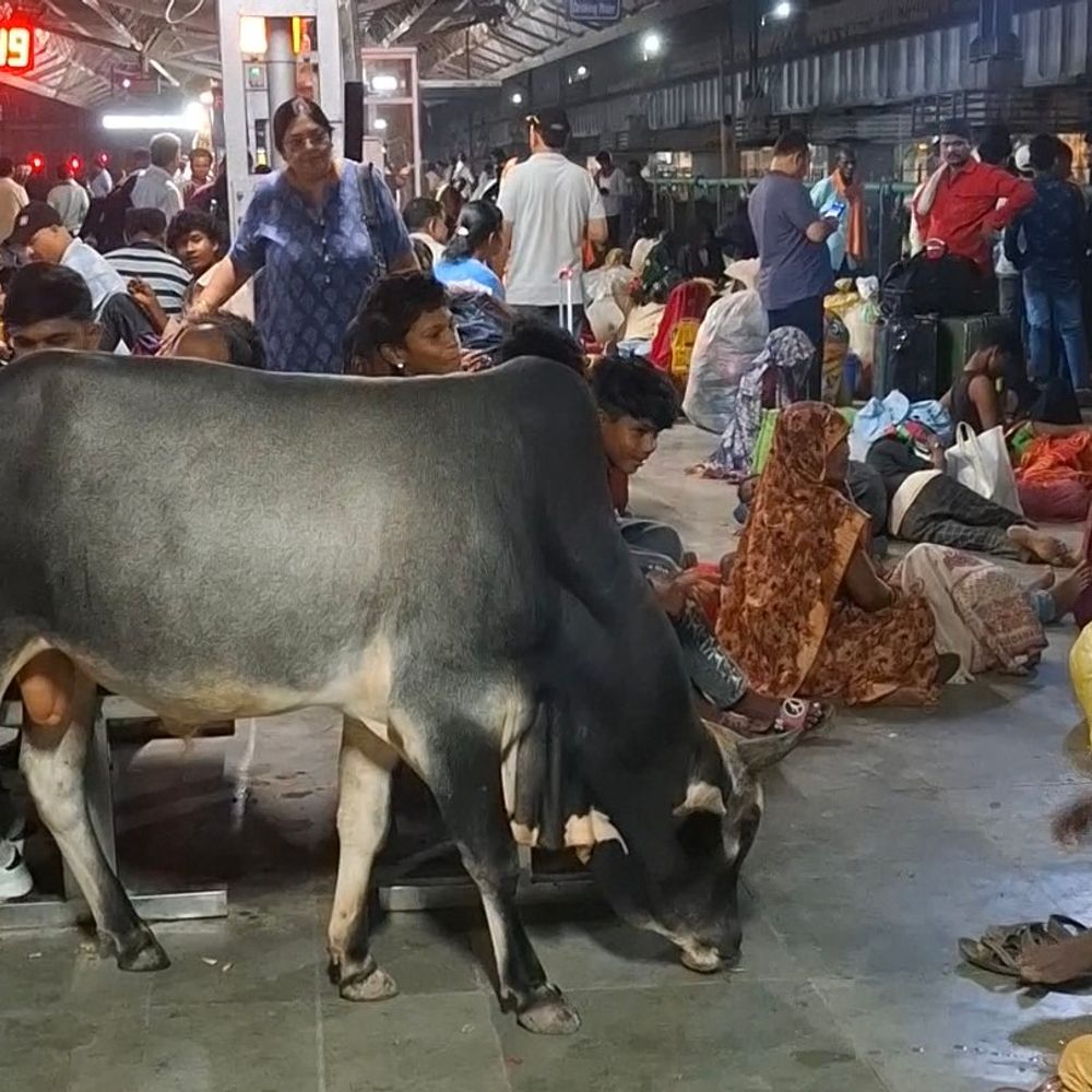 कटनी मुरवारा स्टेशन पर रात में बत्ती गुल:रोज जानवरों से परेशान होते हैं यात्री, सुरक्षा के भी इंतजाम नहीं