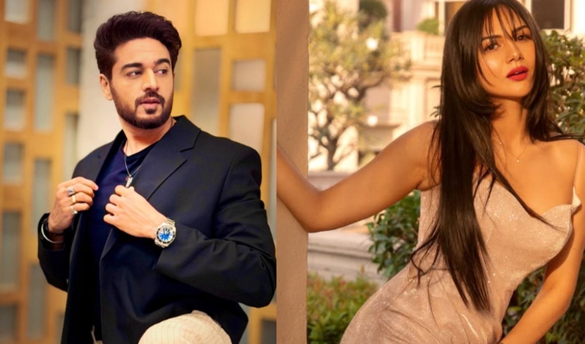 सोशल मीडिया पर बढ़ी तल्खी! Akanksha Chamola के बाद Gaurav Khanna ने भी पत्नी को किया अनफॉलो, क्या टूटने की कगार पर है शादी?