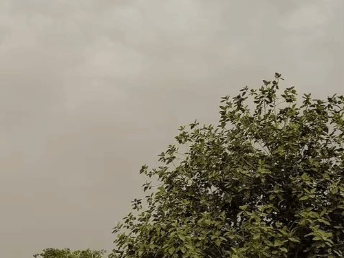 उत्तर-मध्य छत्तीसगढ़ में भारी बारिश का अलर्ट:कई हिस्सों में गरज-चमक के साथ बिजली गिरने का खतरा; अब-तक सामान्य से 2% कम बारिश