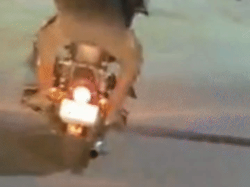 मुजफ्फरनगर में बुलेट से पटाखे छोड़ने का VIDEO:सड़क पर दौड़ती बाइक के पीछे से तेज आवाज के साथ दिखी चमक और धुआं