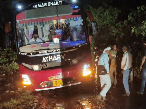 जालौन में बस के ऊपर गिरा पेड़,यात्रियों की जान बची:ड्राइवर ने दिल्ली जा रही बस कच्चे रास्ते पर उतारा