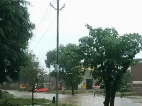 कासगंज में मूसलाधार बारिश से जनजीवन अस्त-व्यस्त:सड़कें बनीं तालाब, 1 से 12 तक के स्कूलों की छुट्टी, तापमान में गिरावट