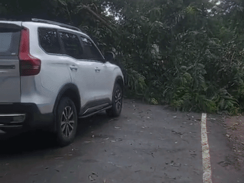 बलिया में चौथे दिन भी बारिश-तेज हवाओं का दौर:24 घंटे में 15 मिमी पानी गिरा, 34 किमी की रफ्तार से चली हवा
