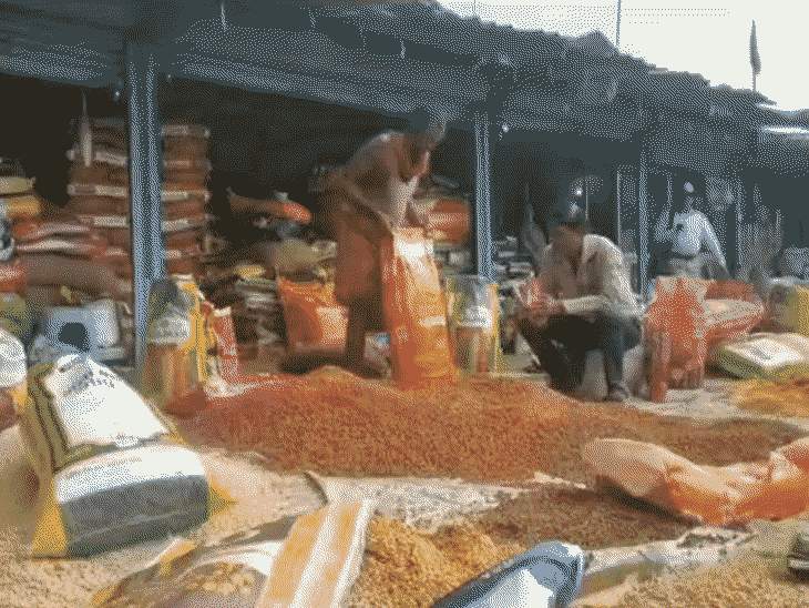 गोरखपुर मंडल की सबसे बड़ी मंडी करोड़ों का नुकसान:चना, सोयाबीन की बोरियां भीगीं; व्यापारी बोले- साल बदला, हालत नहीं