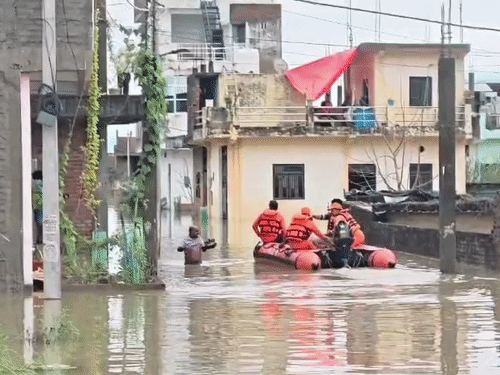 पांडू नदी उफनाई, 10 गांव प्रभावित:मेहरबान सिंह पुरवा की सड़कों में 4 फीट भरा पानी, पूर्व सांसद, सुखराम सिंह टैक्टर से किया निरीक्षण