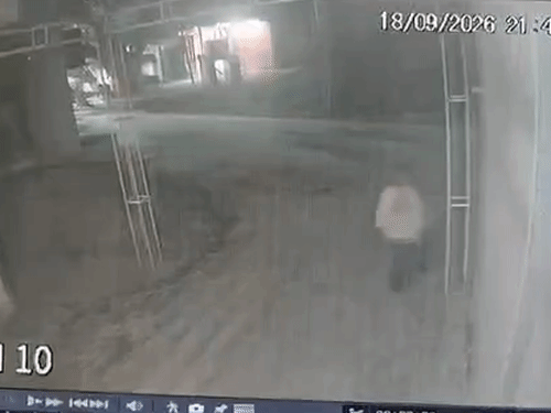 युवती ने प्रेमी संग अपने घर से 15 लाख चुराए:प्रयागराज में 12.5 लाख की ज्वैलरी और 2.5 लाख कैश ले गई, CCTV से पकड़ी गई