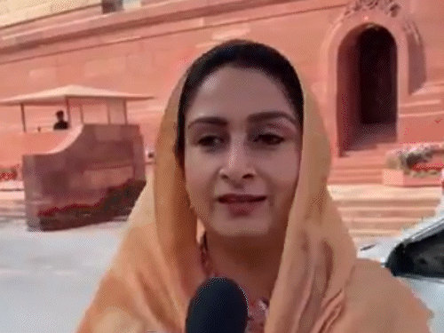 पंजाब यूनिवर्सिटी के पीजी सिलेबस से सिख इतिहास हटाया:हरसिमरत कौर बादल ने केंद्रीय शिक्षा मंत्री को लिखा पत्र; बोलीं- यह पंजाबियों की भावनाओं से खिलवाड़