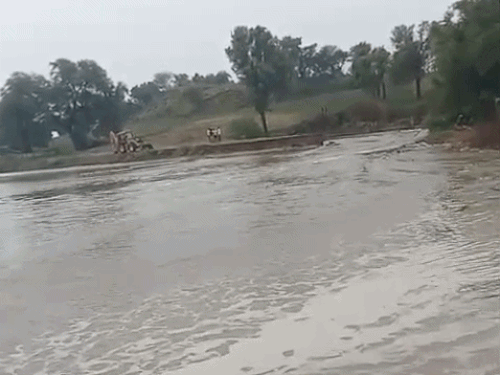 बीकानेर में चक्का जाम करेंगे किसान:सिंचाई पानी की मांग को लेकर आंदोलन; चीफ इंजीनियर से वार्ता विफल