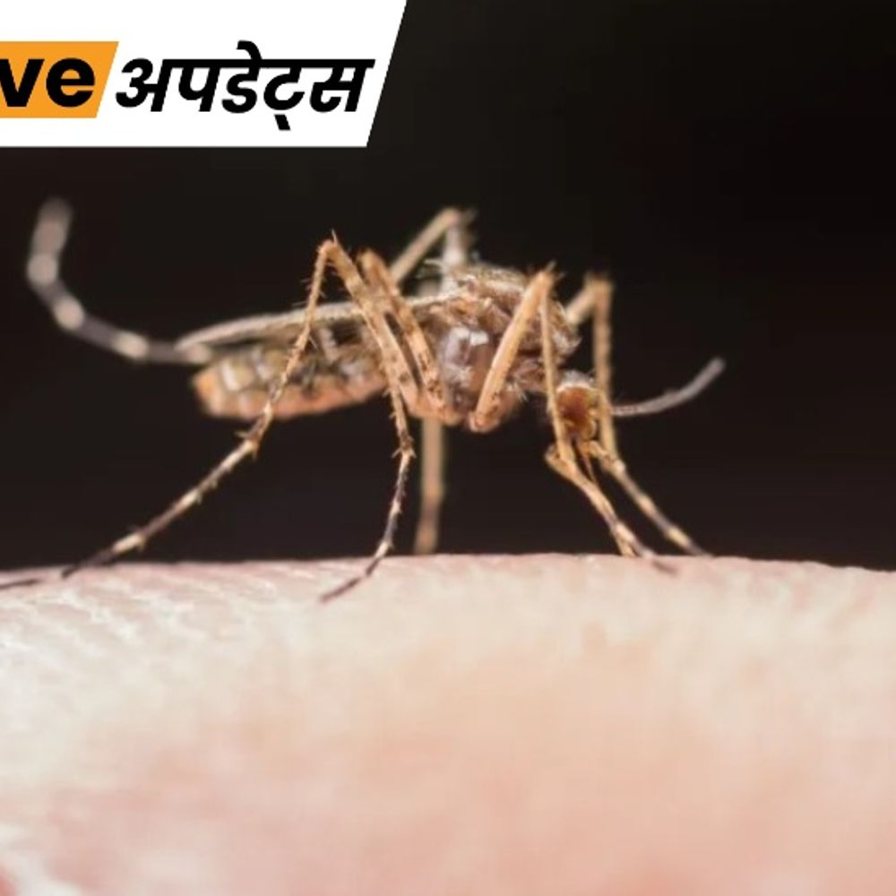 भास्कर अपडेट्स:महाराष्ट्र के ठाणे में डेंगू से 17 साल के लड़के की मौत