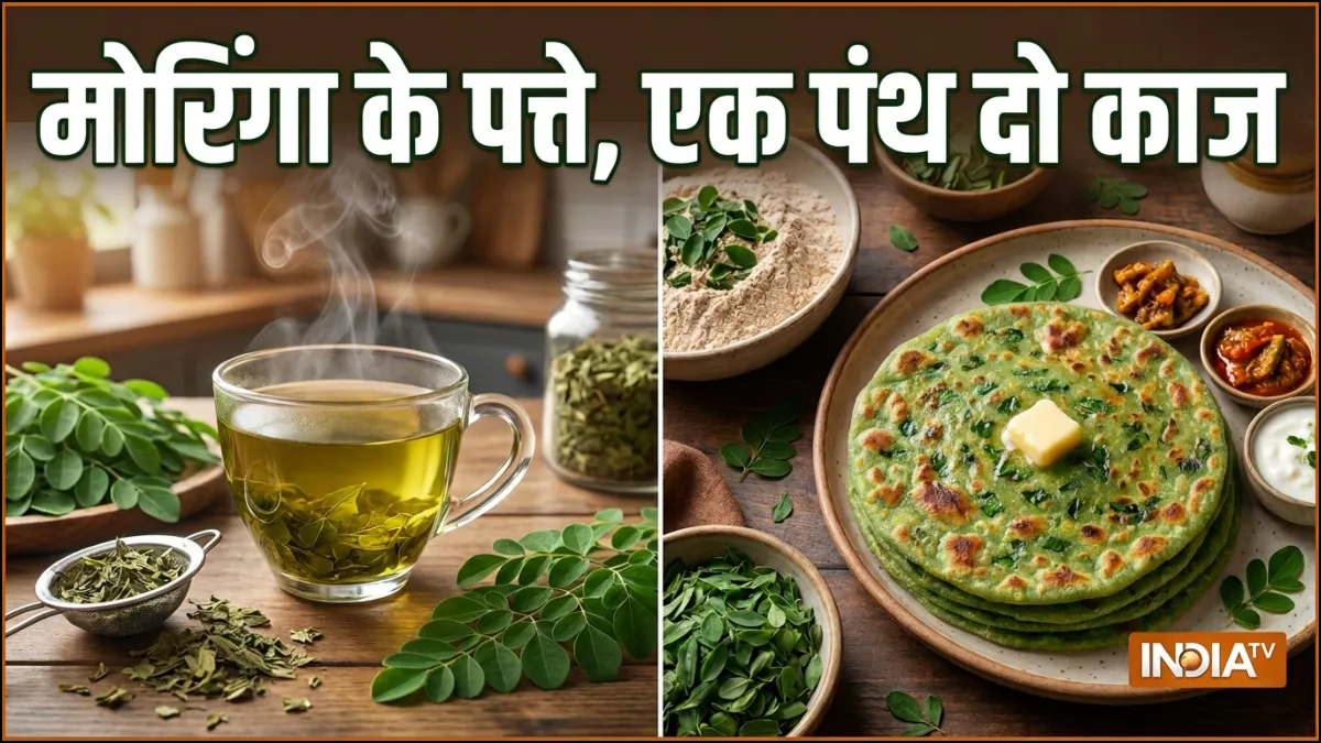 एक पंथ दो काज, मोरिंगा के पत्तों की चाय और पराठा दोनों एक बार में बनाएं, ऐसे करें सही इस्तेमाल