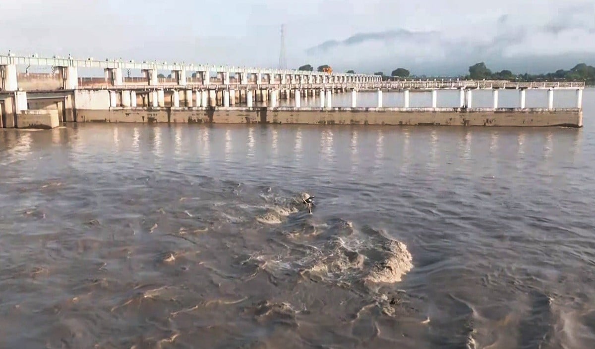 Nepal से Bihar पहुंची ‘Viral Fish’, खाने से खतरा! Health Alert जारी