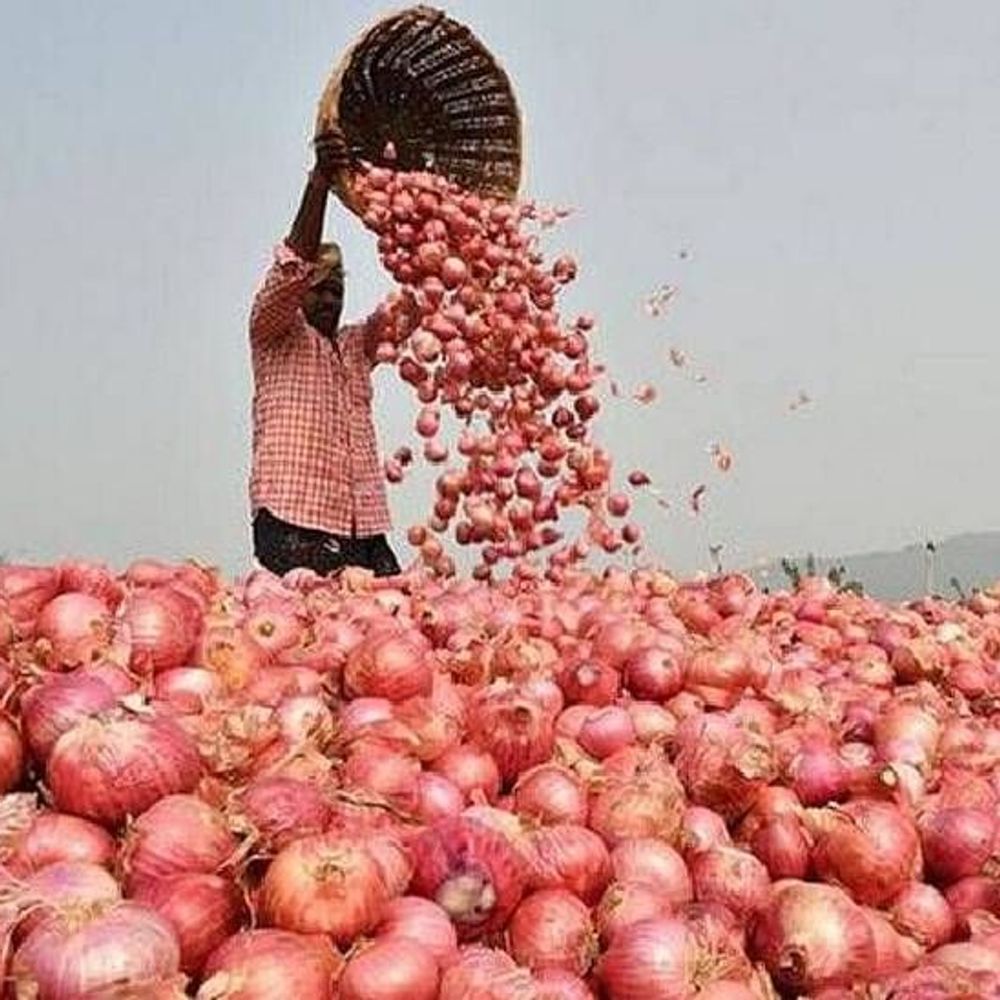 मंडी में प्याज 9 दिन में 9% सस्ती हुई:सरकार ₹35 किलो बेच रही, रिटेल मार्केट में ₹53.92 किलो पहुंची