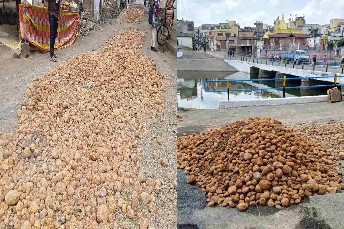 शुक्रवार को फिर बरसेंगे पत्थर… गोटमार मेले में आमने-सामने होंगे पांढुर्ना और सांवरगांव