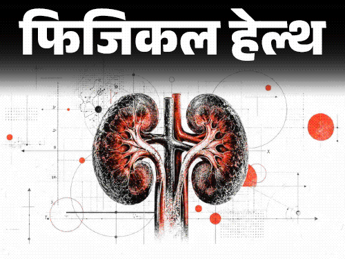 फिजिकल हेल्थ- 14 करोड़ लोगों की किडनी खराब:सरकार की सिफारिश- साल में दो बार कराएं KFT, डॉक्टर से जानें हर जरूरी सवाल का जवाब