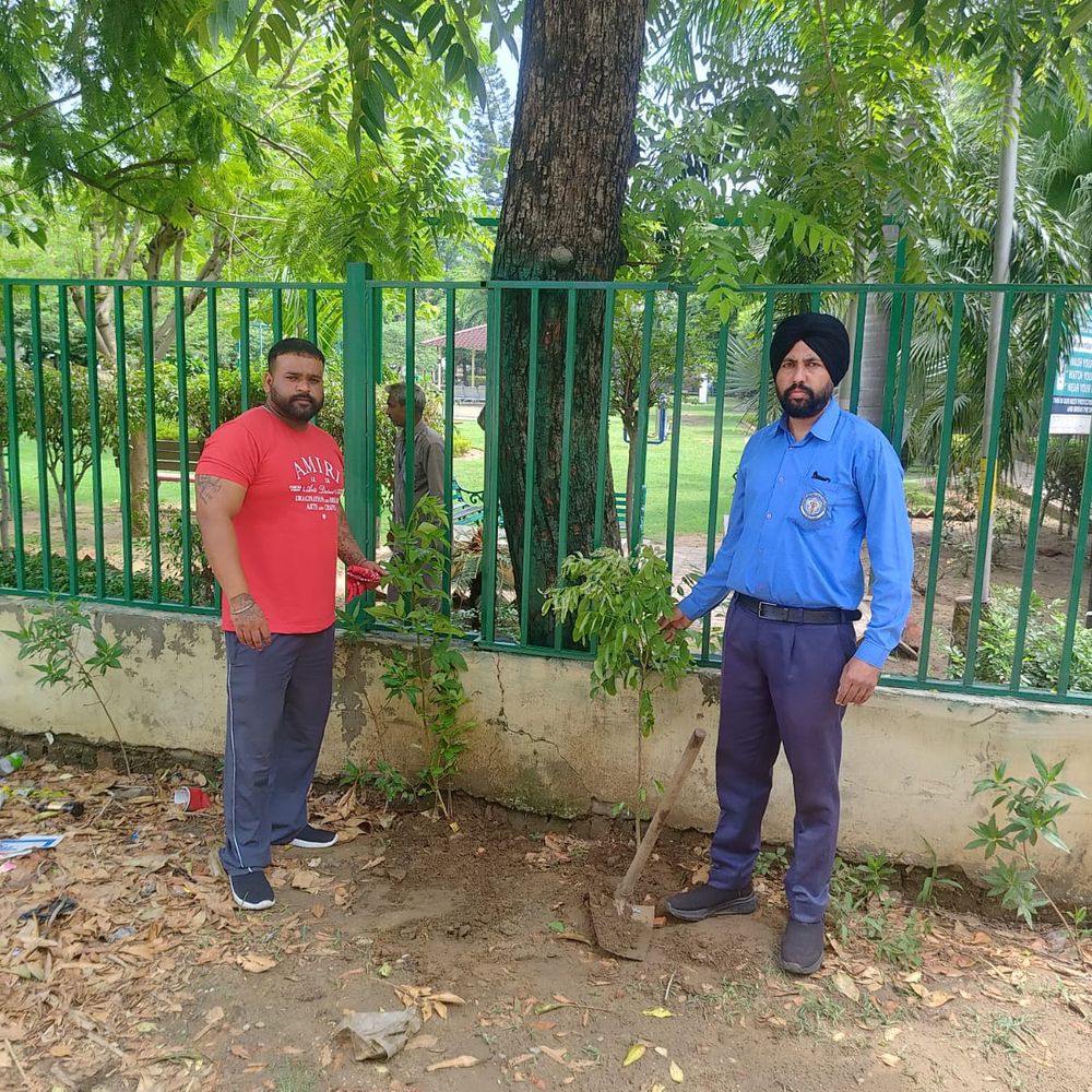 हैबोवाल के वार्डों में 3200 पौधे लगवाए