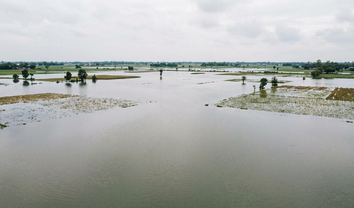 Shivraj Singh Chouhan ने किया Bihar Flood प्रभावित क्षेत्रों का दौरा, हर संभव केंद्रीय मदद का भरोसा दिया