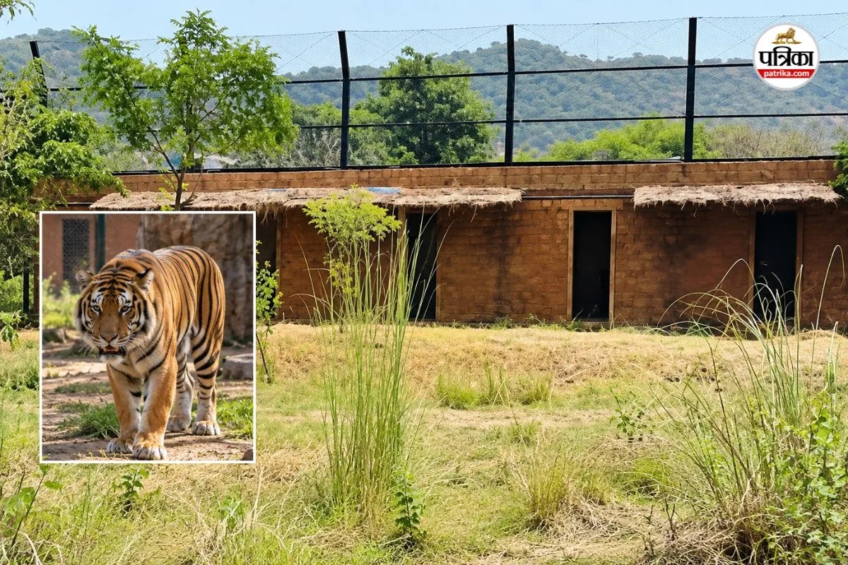 जयपुर के नाहरगढ़ में महिला श्रमिक मौत मामले में नया खुलासा, इन 3 अफसरों की खुली पोल