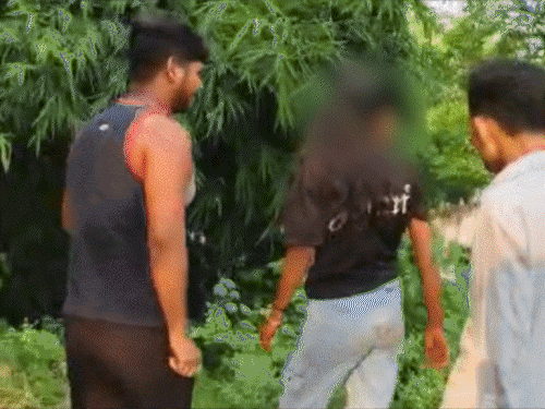 समस्तीपुर- लड़की से बदसलूकी, 3 आरोपियों के घर चले बुलडोजर:PDS दुकानदार का लाइसेंस रद्द; आरोपियों ने हाथ जोड़े, कान पकड़कर मांगी माफी, कहा-गलती हो गई