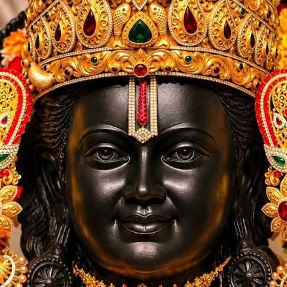 टिन्नू और सुभाष की जमानत याचिका पर सुनवाई आज:इससे पहले छह आरोपियों की जमानत अर्जी पहले निरस्त ही हो चुकी है