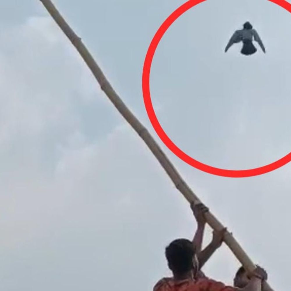 गाजियाबाद में मांझे की डोर में फंसकर फड़फड़ाता रहा कबूतर:राहगीरों ने गाड़ियों पर चढ़कर मशक्कत के बाद बचाई जान