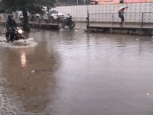 अलवर में सुबह 3 घंटे से बारिश:शहर की सड़कें बनी तालाब;कई कॉलोनियों में डेढ़ फीट तक पानी भरा