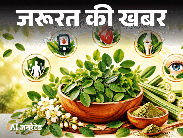 जरूरत की खबर- सहजन के पत्ते हैं ‘सेहत का खजाना’:ब्लड शुगर करे कंट्रोल, पाचन रखे दुरुस्त, डॉक्टर से जानें इसे खाने का सही तरीका