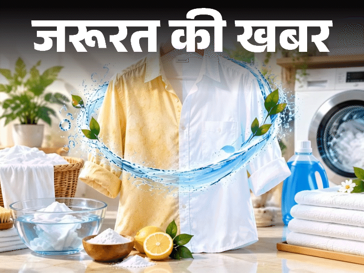 जरूरत की खबर- सफेद कपड़े जल्दी पीले पड़ जाते हैं:खोई चमक लौटाने के 5 टिप्स, धोते हुए बरतें 11 सावधानियां, न करें 6 गलतियां