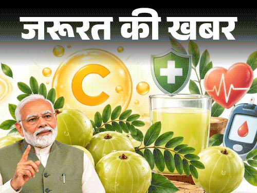 जरूरत की खबर- PM मोदी ने बताए आंवले के गुण:विटामिन C का पावरहाउस, विटामिन A का खजाना, डाइटीशियन से जानें खाने का सही तरीका