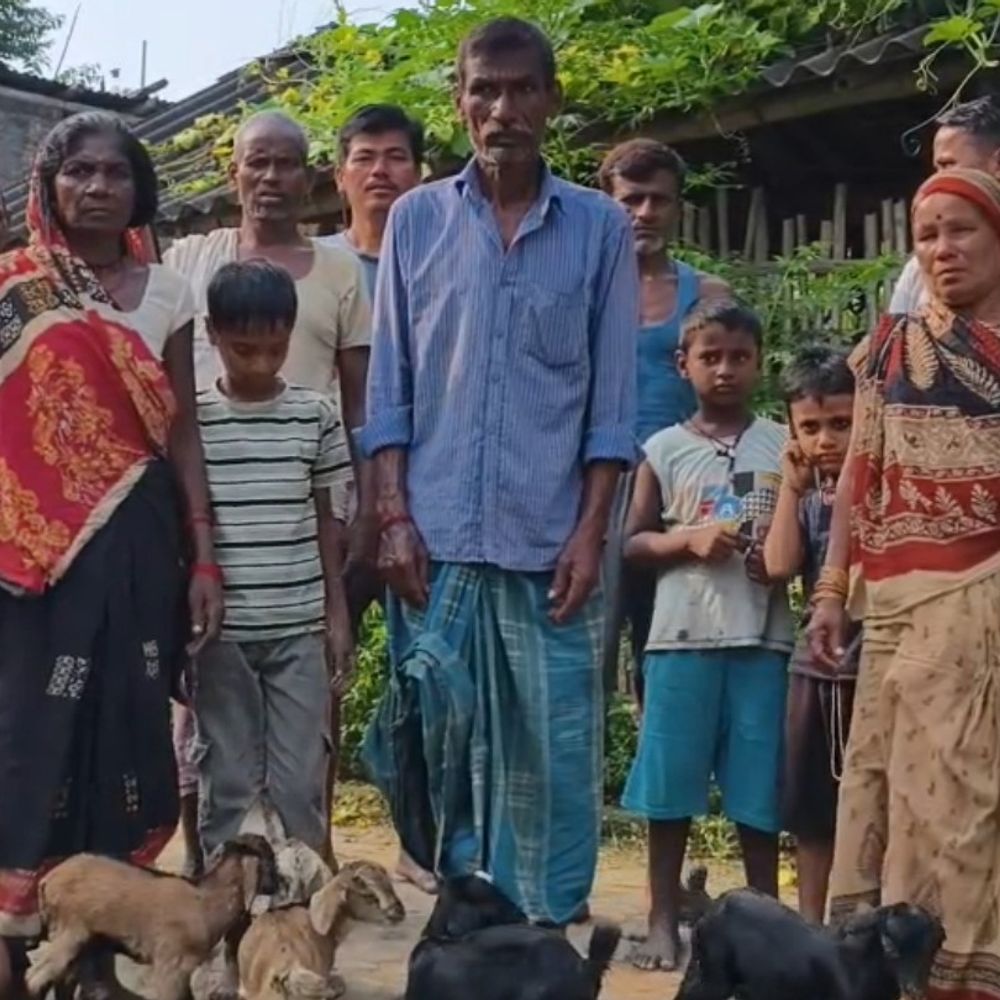 गन्ने के खेत में बैठे बाघ का बकरियों पर हमला:9 को मारा; 3 पशुपालक महिलाओं ने भागकर बचाई जान, मुआवजे-निगरानी की मांग