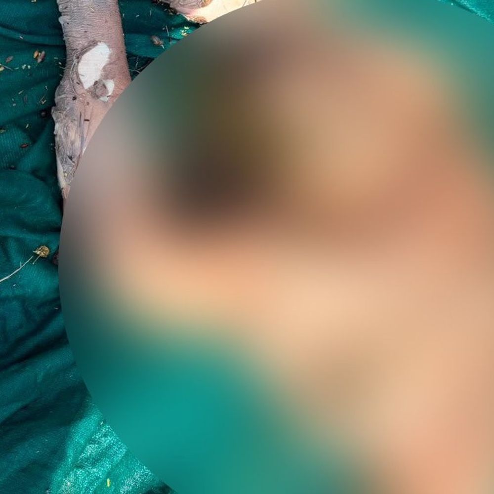 हांसी में रजवाहे में महिला का क्षत-विक्षत नग्न शव मिला:कमर से नीचे का हिस्सा गायब; राहगीर ने देखा, पहचान के लिए तस्वीरें प्रसारित