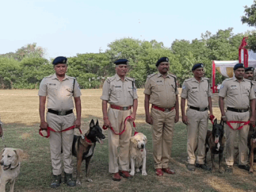 झांसी में आज DOG MEET का दूसरा दिन:रोचक होगा मुकाबला, उत्तर और पश्चिम के डॉग दिखाएंगे टैलेंट