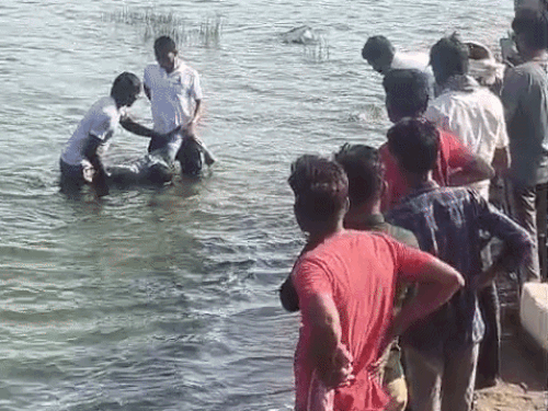 चंबल नदी में डूबे भाई का शव मिला,बहन की तलाश:बालाजी के दर्शन के लिए आए थे दोनों, नहाते समय डूबने की आशंका