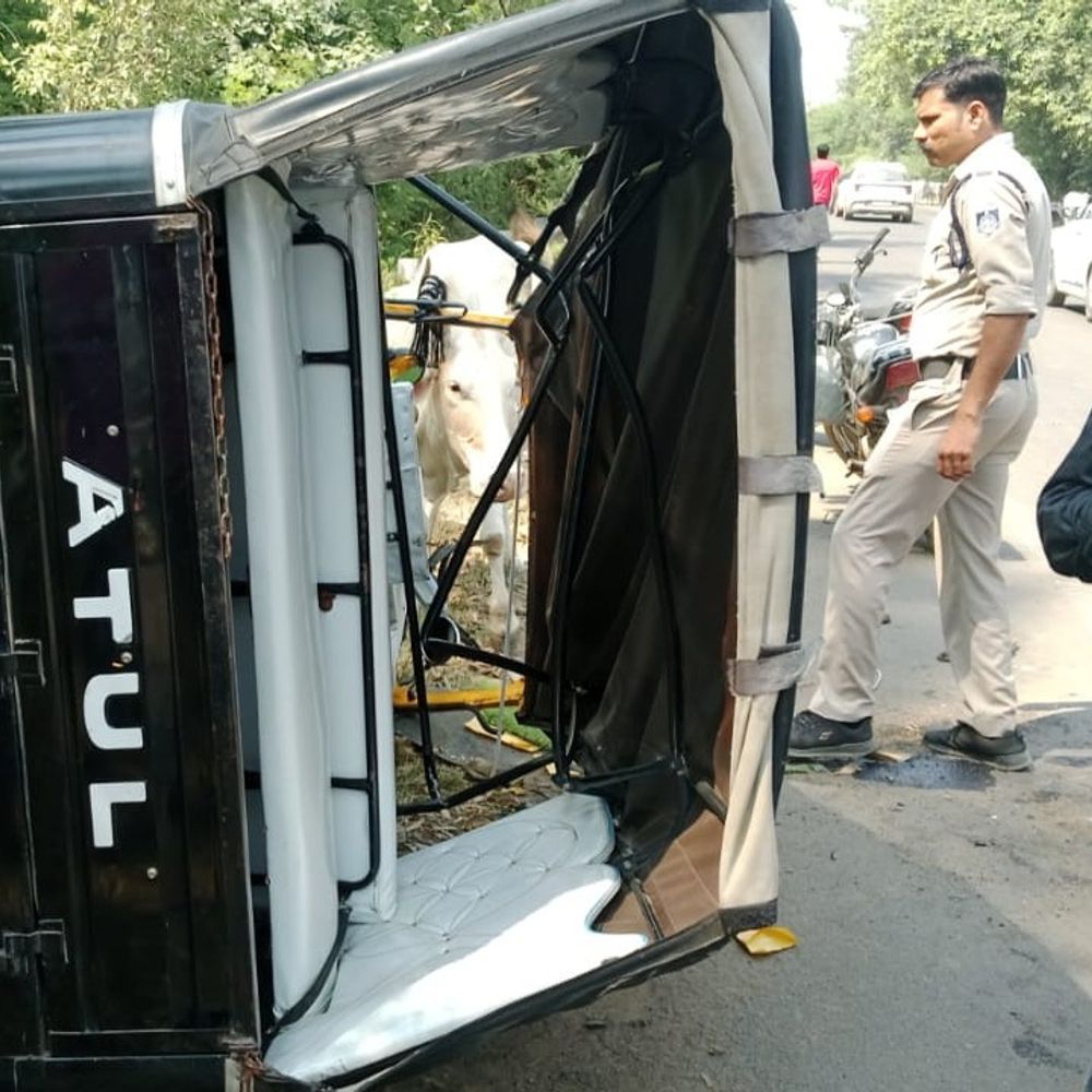 नर्मदापुरम में स्कूली बच्चों से भरा ऑटो पलटा:मवेशी को बचाने में हुआ हादसा, टीचर समेत 5 घायल; शिक्षक की हालत गंभीर