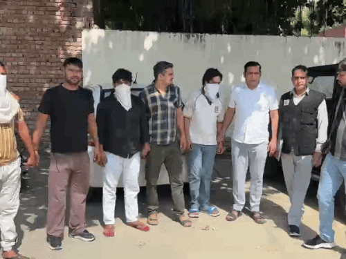 बहादुरगढ़ में STF की बड़ी कार्रवाई, 3 बदमाश गिरफ्तार:3 विदेशी पिस्तौल और 39 कारतूस बरामद, रोहित पर पहले से 4 केस