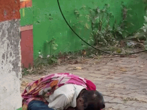 झज्जर में नेताजी की प्रतिमा के पास मिला शव:दोपहर से पड़ा रहा शव, देर रात पुलिस ने नागरिक अस्पताल पहुंचाया; पोस्टमार्टम रिपोर्ट से होगा खुलासा