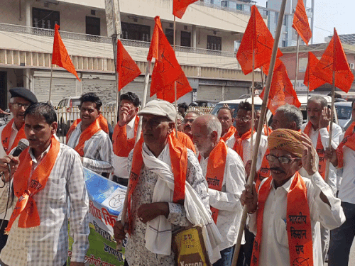 सीकर में बाजरे की MSP पर खरीद की मांग:भारतीय किसान संघ ने कलेक्टर को बताई परेशानी, दूध की कीमतों का मुद्दा उठाया