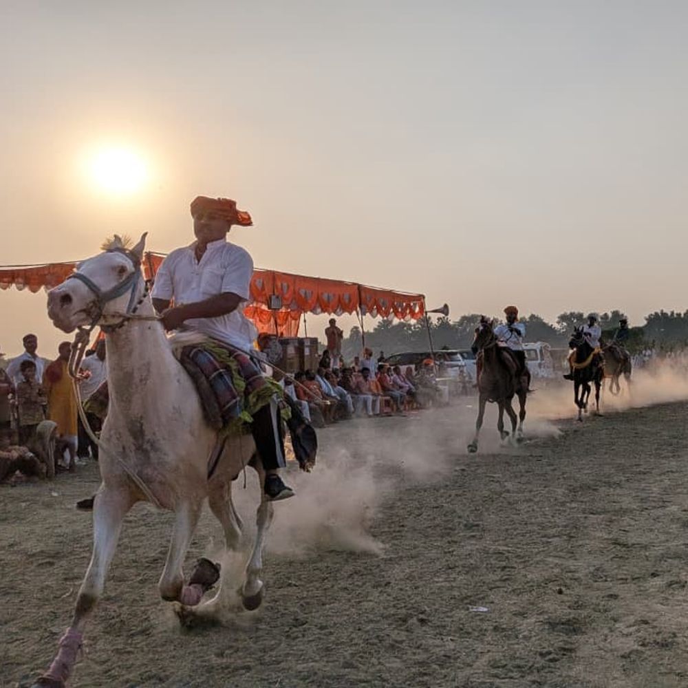 बक्सर-घोड़ा दौड़ प्रतियोगिता में डब्लू राय का घोड़ा ‘अव्वल’:महावीर पूजा समिति ने कराया आयोजन; प्रथम को फ्रिज, दूसरे को कूलर