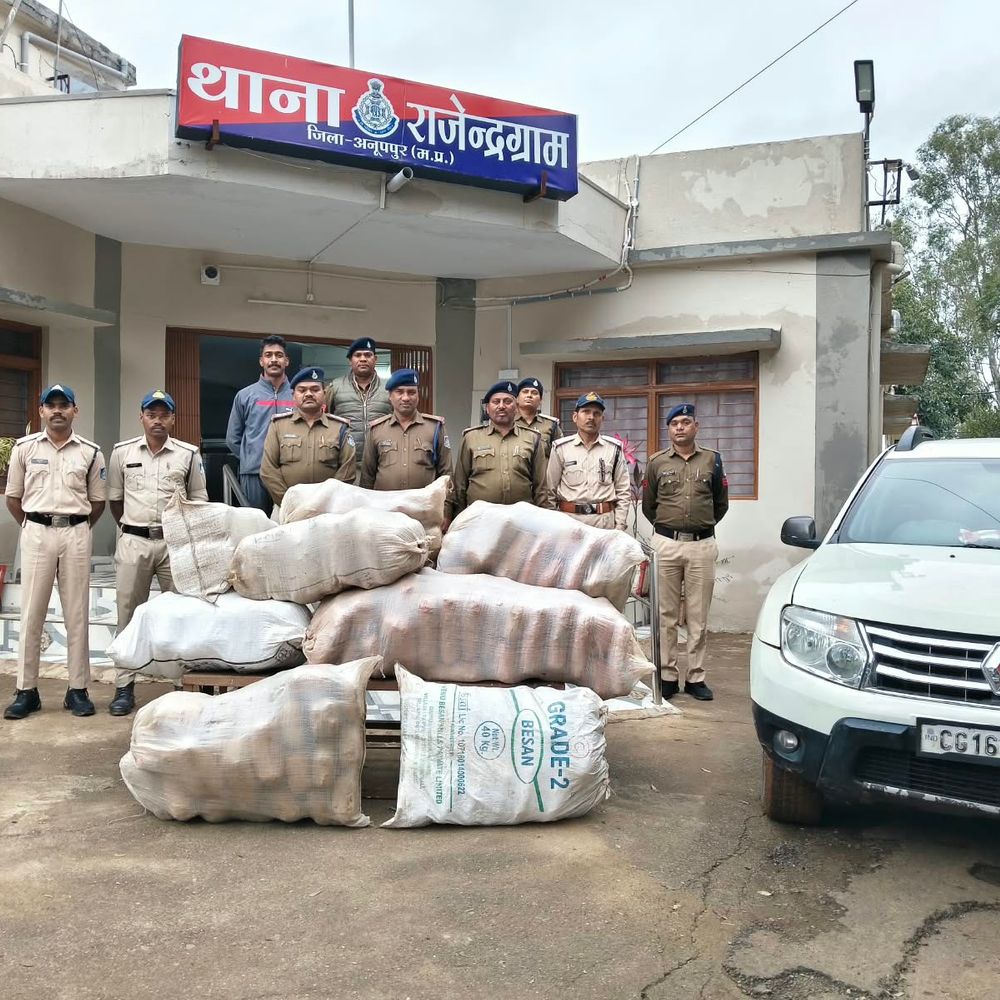 अनूपपुर; राजेंद्रग्राम में कार से 211 किलो गांजा जब्त:सीट और डिग्गी में मिले बोरे; चालक जंगल में भागा