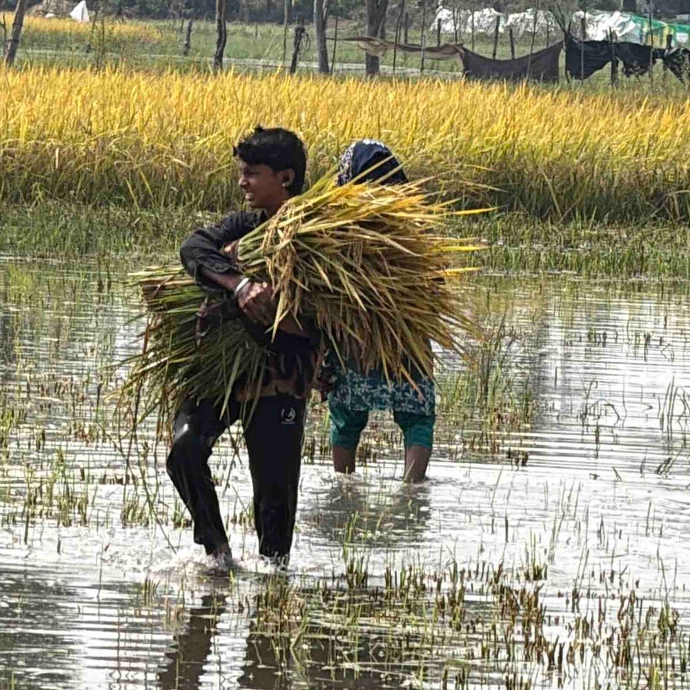 सांसद नदवी का बयान- अखिलेश यादव बनेंगे मुख्यमंत्री:समाजवादी पार्टी एक है, डीएम से ओलावृष्टि प्रभावित किसानों को मुआवजा दिलाने की मांग