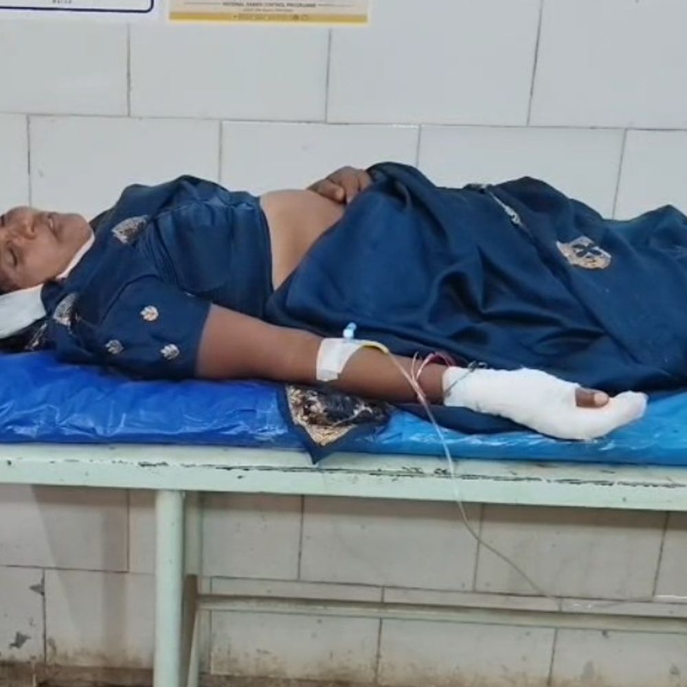 अज्ञात वाहन ने बाइक सवार तीन लोगों को टक्कर मारी:बड़ौद मंडी के पास हुआ हादसा, एक महिला गंभीर; चालक फरार