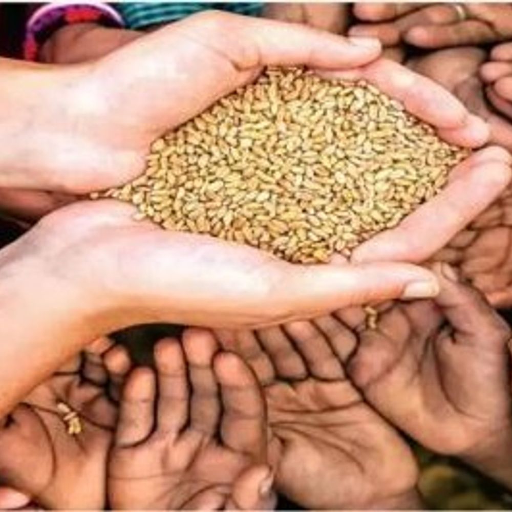 झालावाड़ में दो राशन डीलर निलंबित:स्टॉक में गेहूं कम मिला और वितरण में लापरवाही सामने आई