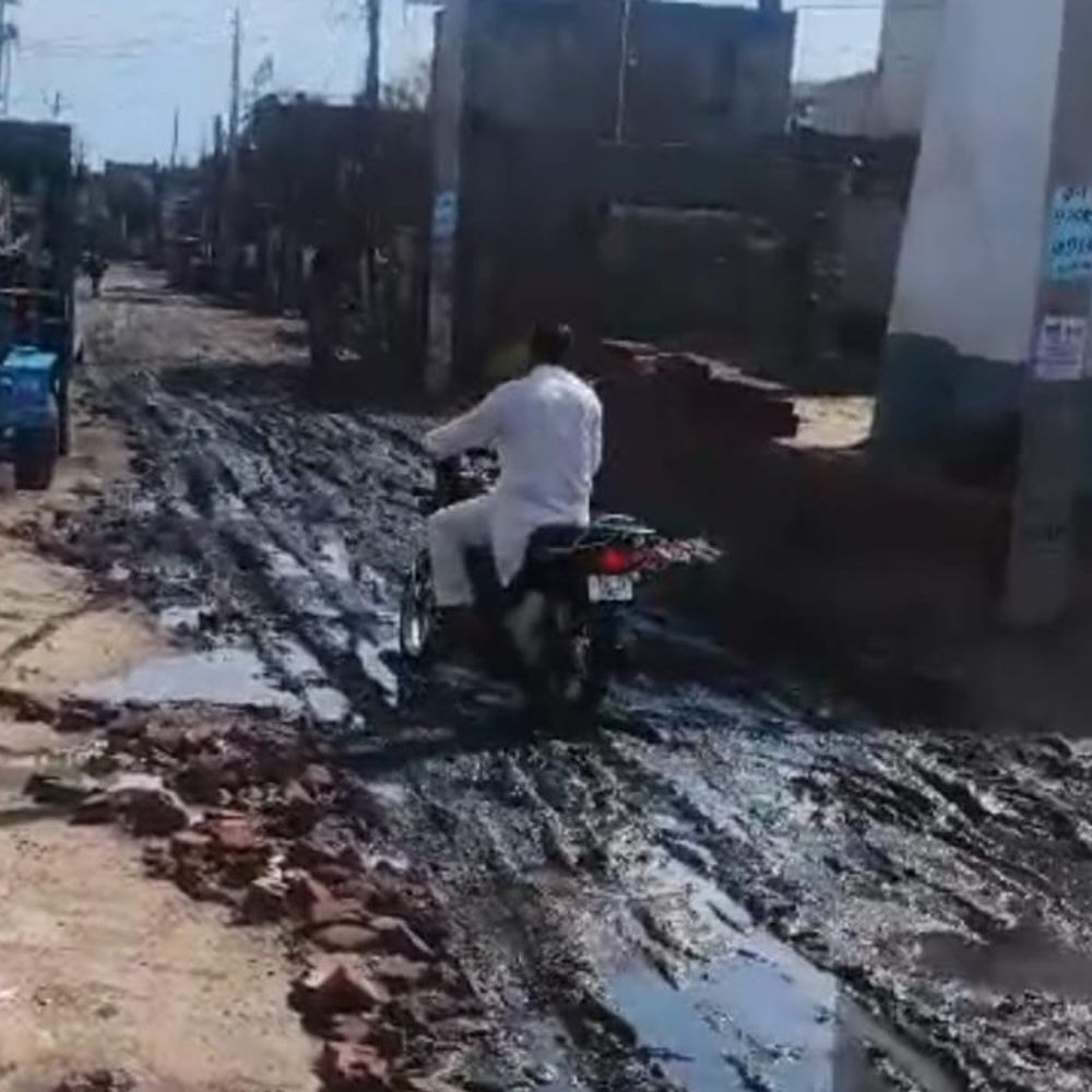 सड़कें दलदल,जूते हाथ में लेकर स्कूल जाते बच्चे:अबोहर के ढिंगावाली रोड पर निकासी न होने से गंदा पानी जमा, शिक्षा मंत्री से लगाई गुहार