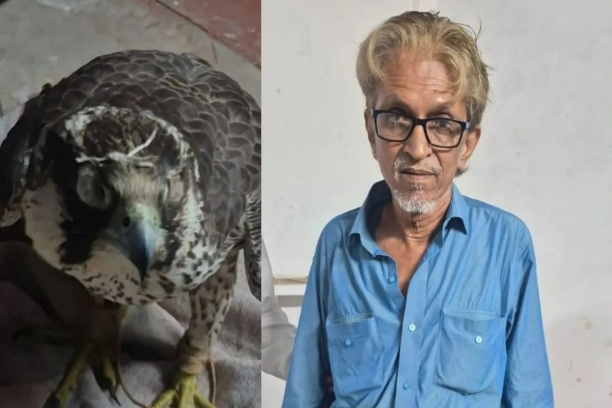 UP STF: 14 करोड़ के सात परिंदे और अंतरराष्ट्रीय तस्करी का खेल, लखनऊ में एसटीएफ की बड़ी कार्रवाई