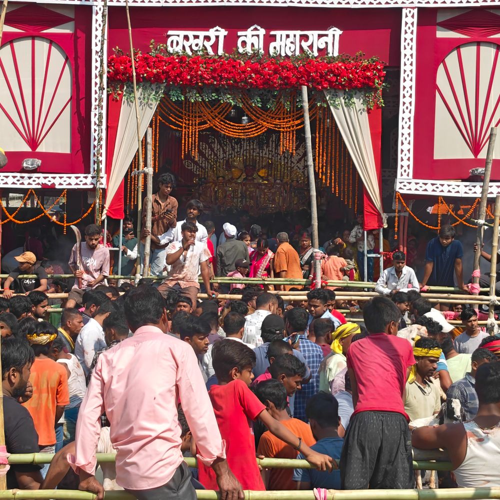 बखरी-दुर्गा मंदिर में 5 हजार से अधिक बकरों की बलि:बेगूसराय में 600 साल पुरानी है परंपरा, मन्नत पूरी होने पर दूर-दूर से पहुंचे श्रद्धालु