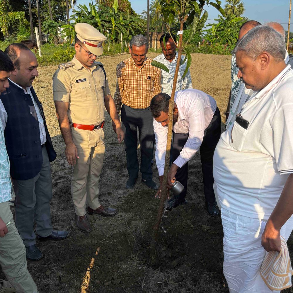 मोतिहारी में लगाए गए आम के 360 पौधे:33 भारतीय किस्मों को किया गया शामिल, डीएम सौरभ सुमन यादव ने की शुरुआत, 3 हजार लगाने का लक्ष्य