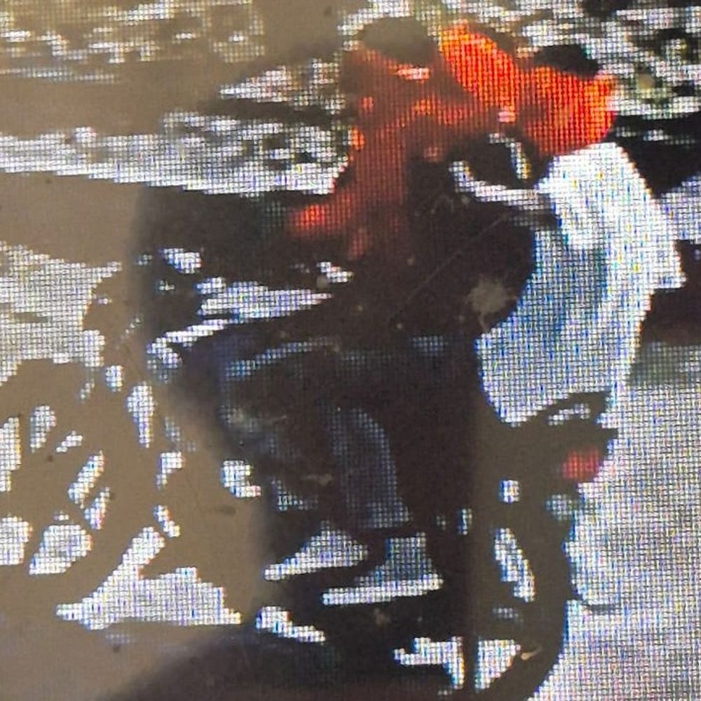पट्टी के पेट्रोल पंप पर फायरिंग, शूटरों का क्लू मिला:पुलिस की तीन टीमें गठित, आरोपियों की तलाश में दी जा रही दबिश