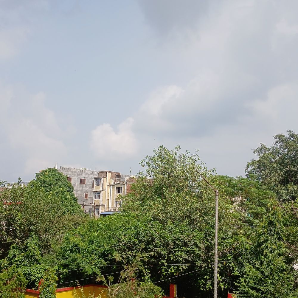 गोपालगंज में हल्की बारिश की 50% संभावना:अधिकतम तापमान 29°C दर्ज, रात में ठंडक बढ़ने के आसार