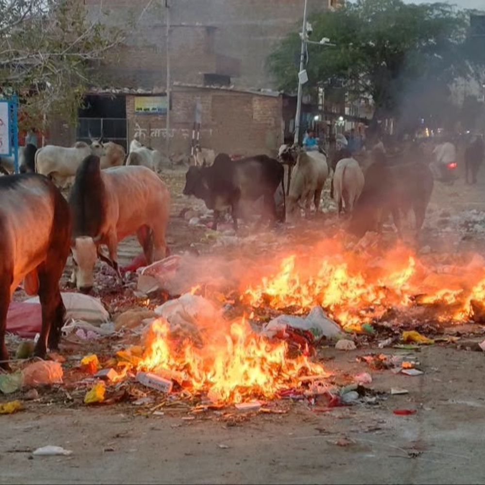 लोग बोले- शिकायत के बाद भी नहीं आती कचरा गाड़ी:सड़क पर फेंकने को मजबूर, 18 दिन पहले ही बना है नया बोर्ड