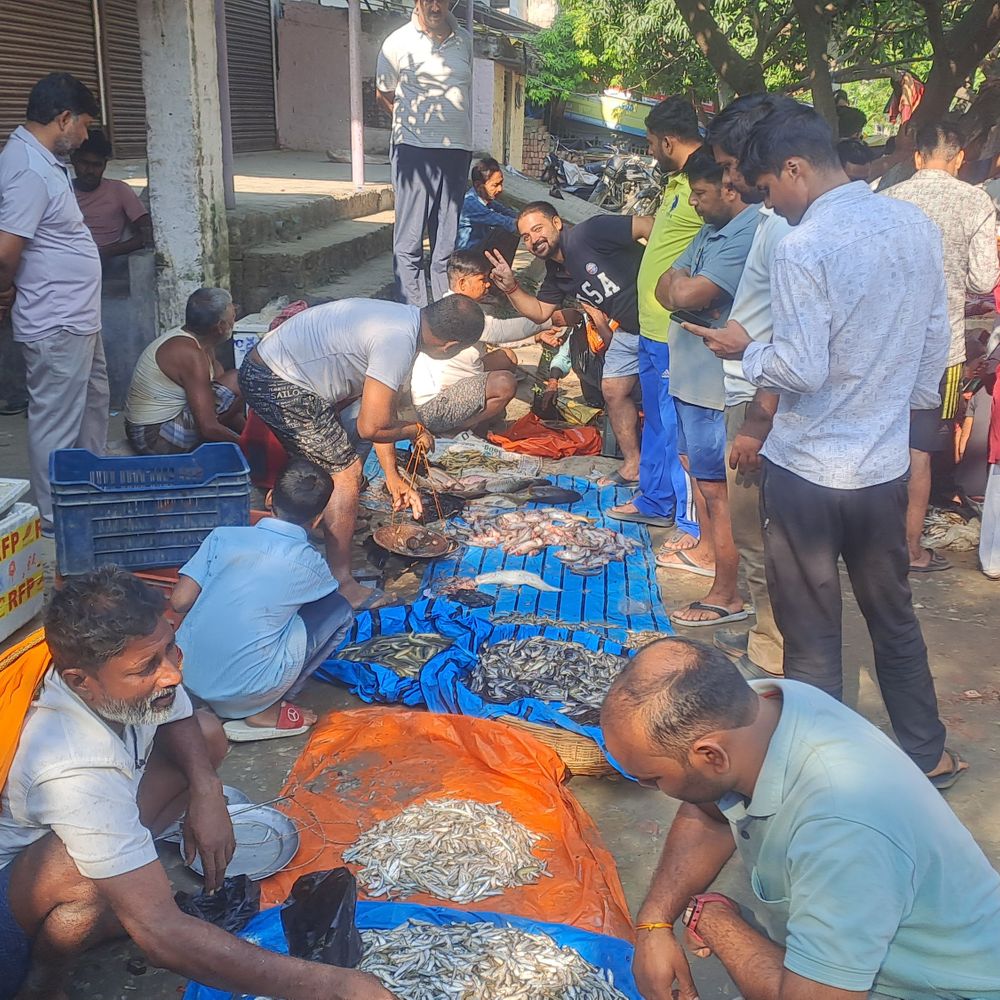 गोपालगंज में नवरात्री के बाद मछली बाजार में उमड़ी भीड़:हाईवे के सर्विस लेन 3 घंटे जाम, पटेया मछली 1600 रुपए किलो बिकी