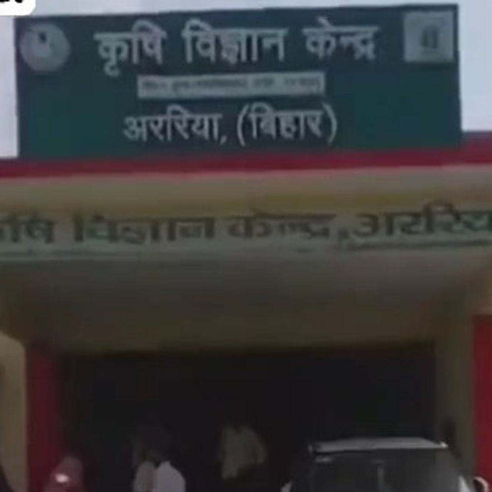 किसानों को 20 रुपए किलो मिलेगा उन्नत आलू बीज:अररिया कृषि विज्ञान केंद्र में सीमित स्टॉक, पहले आओ-पहले पाओ के आधार पर होगा वितरण